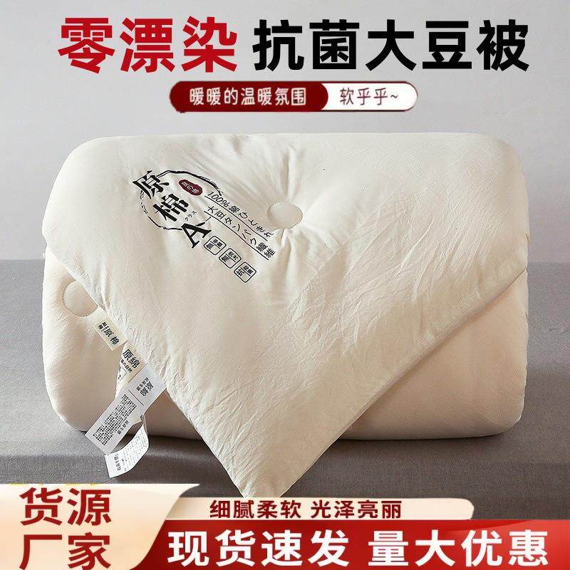 A类原棉大豆纤维被加厚保暖冬被春秋被团购活动礼品被宿舍棉被芯