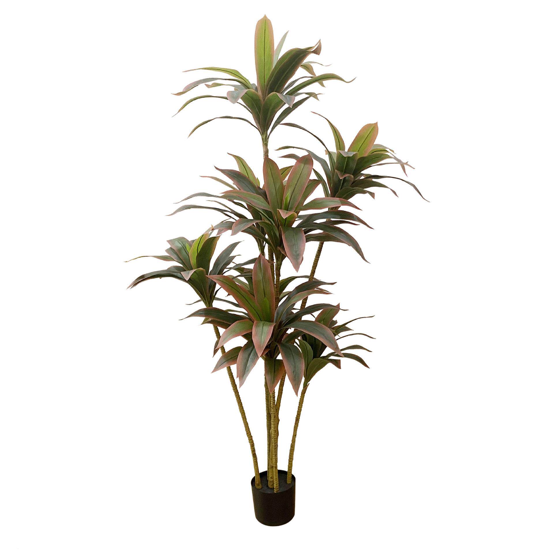 博林仿真绿植人造植物大型客厅装饰盆栽巴西铁散尾葵巴西木花卉
