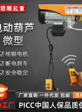 微型电动葫芦220V家用小型起重机单双吊升降提升机钢丝绳电葫芦
