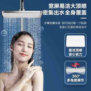 大卫浴浴花洒套装 WCD装 家用沐浴套淋雨顶喷浴室壁挂淋式