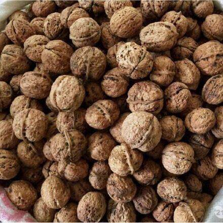 速发现货新货云南漾濞薄皮丑大核桃五斤装农家坚果包邮纸皮黑桃孕