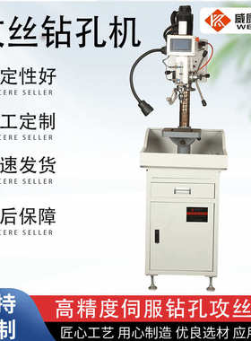五金加工设备伺服攻钻两用机高精度攻丝机小型多功能钻孔倒角机