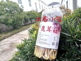 远安森源鹿茸菇鹿茸菌非香菇蘑菇干货，蘑菇汤料火锅料180g