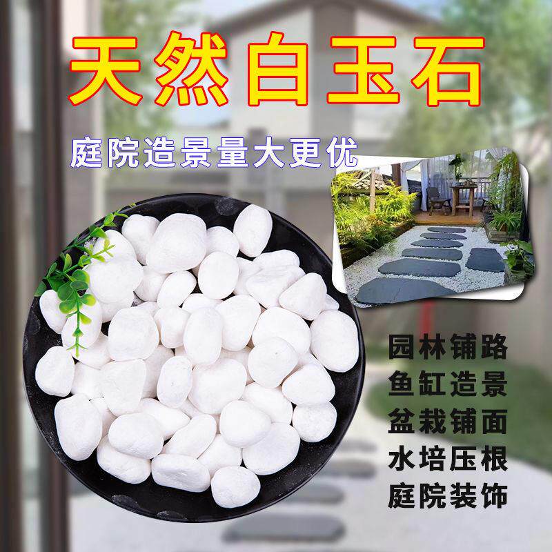 江苏小白石子白石头鹅卵石花盆盆栽鱼缸底部砂石造景多肉铺面石