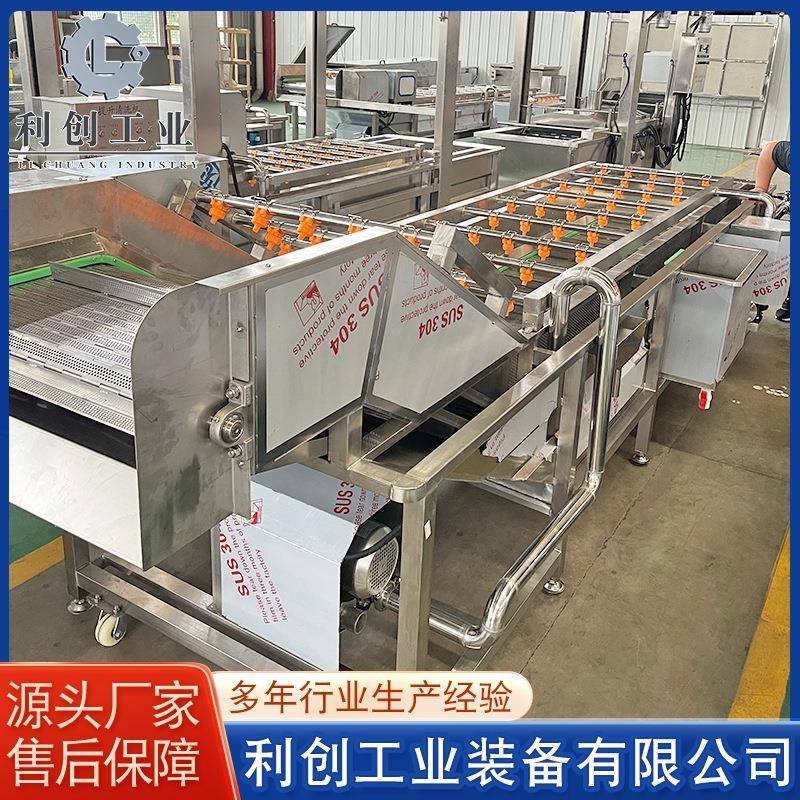 多功能全自动气泡清洗机果蔬海鲜肉类去泥沙去油污去农药气泡清洗