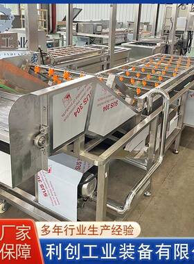 多功能全自动气泡清洗机果蔬海鲜肉类去泥沙去油污去农药气泡清洗