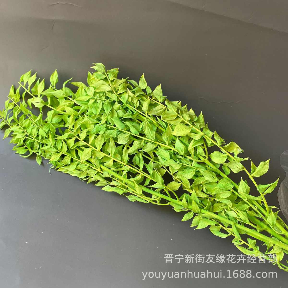 富贵叶永生花叶子配材干花批发多色可选40-50克/扎ins风家居装饰