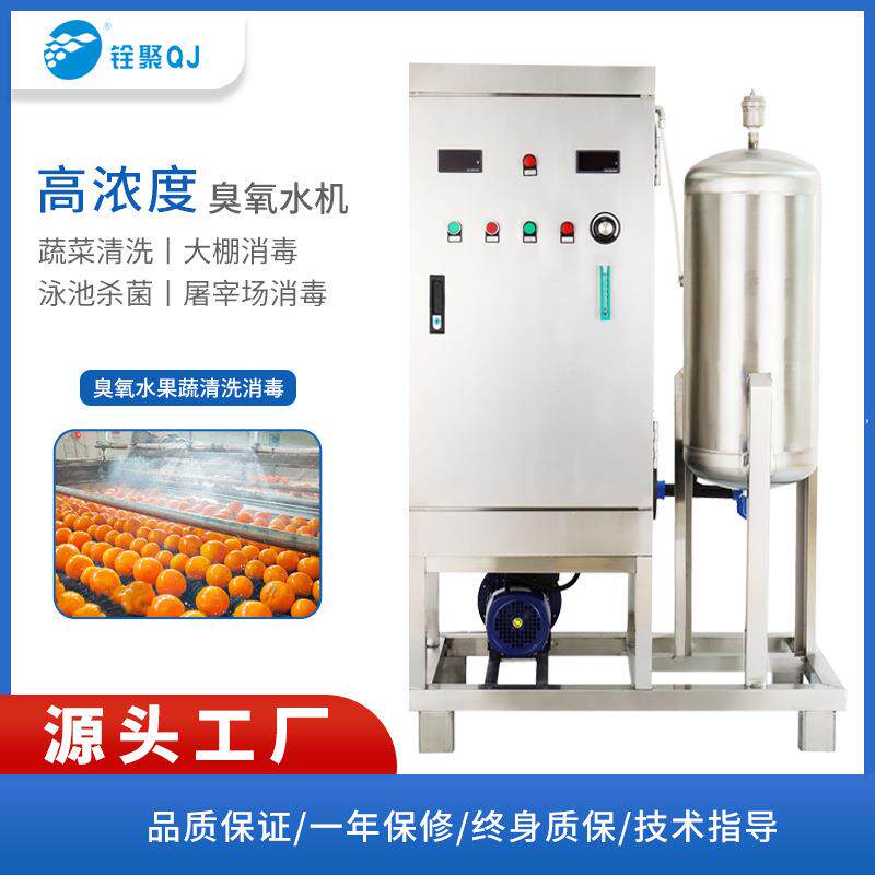 氧气源臭氧水机泳池水消毒包装瓶浸泡清洗杀菌臭氧发生器厂家直销