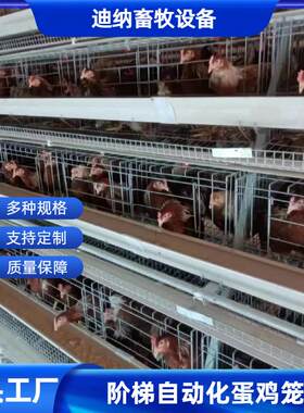 全自动阶梯蛋鸡笼养鸡养殖设备加背负式喂料机多层阶梯热镀锌