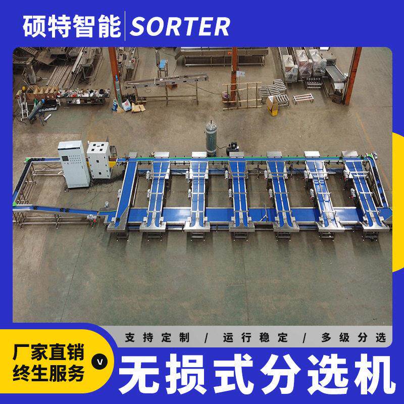 蜂糖梨无损重量分选机西瓜呵福式选果机葡萄多级别称重分拣机