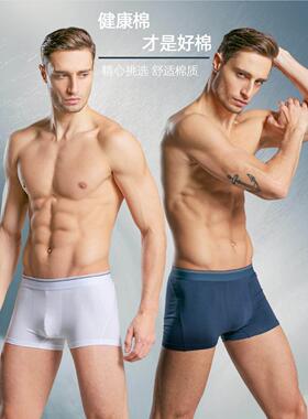 Boxershorts Men Cotton Boxers Boxer Underwear Man Panties 22