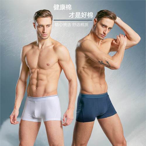 Boxershorts Men Cotton Boxers Boxer Underwear Man Panties 22