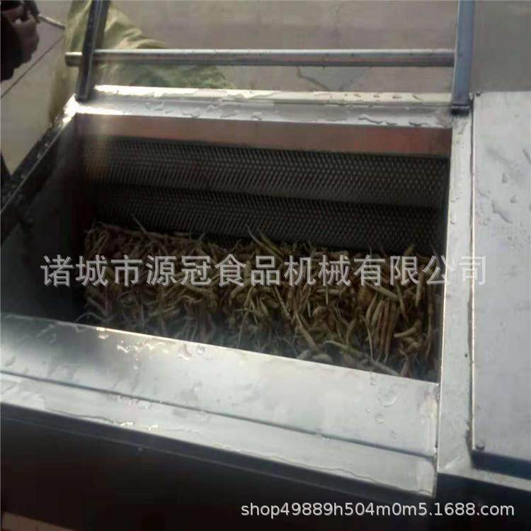 厂家供应毛辊清洗机 大姜红薯土豆毛辊去皮清洗机 毛刷去泥机