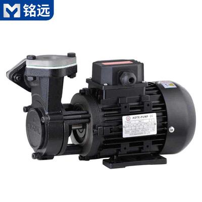 模温机配件温泵0.37KW油温机循环泵模温机油泵