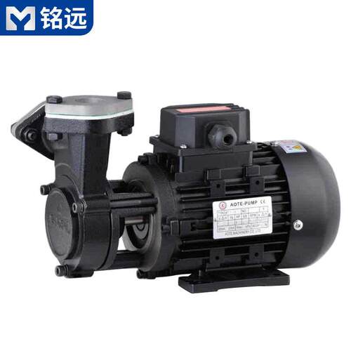 模温机配件温泵0.37KW油温机循环泵模温机油泵