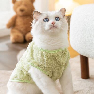 秋冬季ins风猫咪服牵甲引马幼加2309CGSL厚保暖猫冬天衣绒衣泰迪