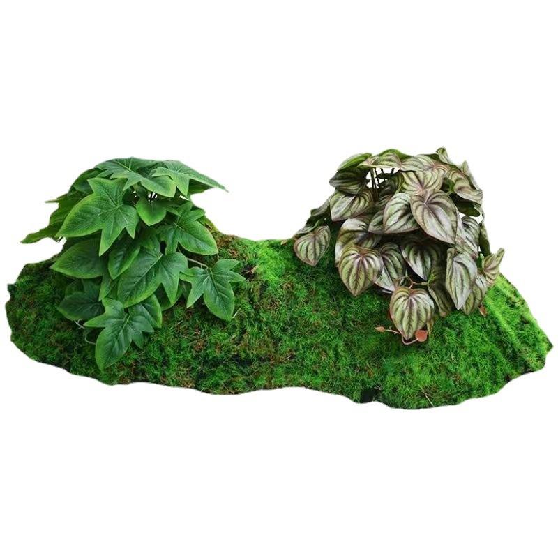 仿真苔藓鼓包植物室内客厅装饰微景草皮绿植造景绿植景观草坪