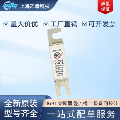 巴斯曼熔断器 170M1572 170M1583 170M1584 170M1365D 170M1369D
