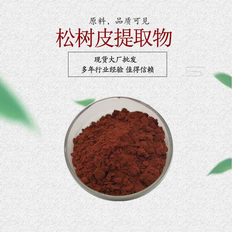 松树皮提取物 松树皮粉