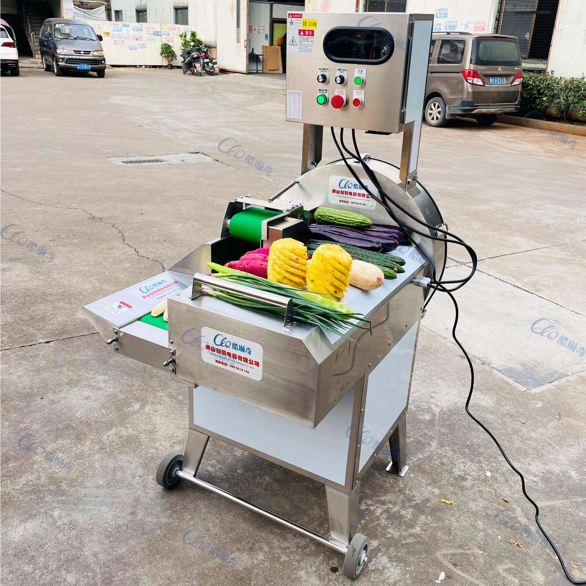 单头大型806流水线莲藕切片机芹菜上海青豆角切段机厂家直销