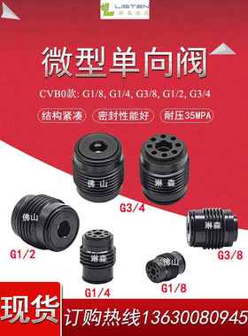 液压内置单向微型阀插装埋入cvb0g1/4旋入式阀芯高压意大利vis
