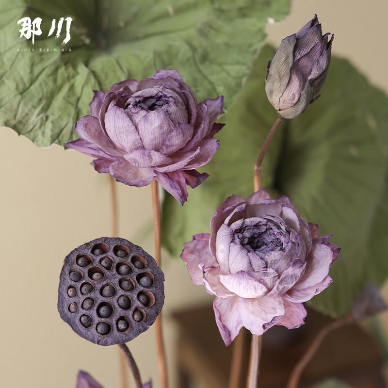天然干 干燥花莲蓬荷叶摆件客厅插花装饰品禅意茶室民宿酒店软装