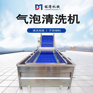 全自动苹果气泡清洗机连续草莓清洗风干线气泡式樱桃清洗设备