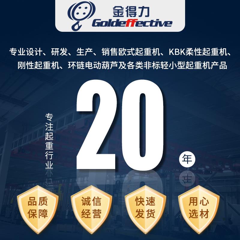 固250kg-5吨环链电葫芦锰电钢链条定AII运行鬼头动动葫芦厂家直销