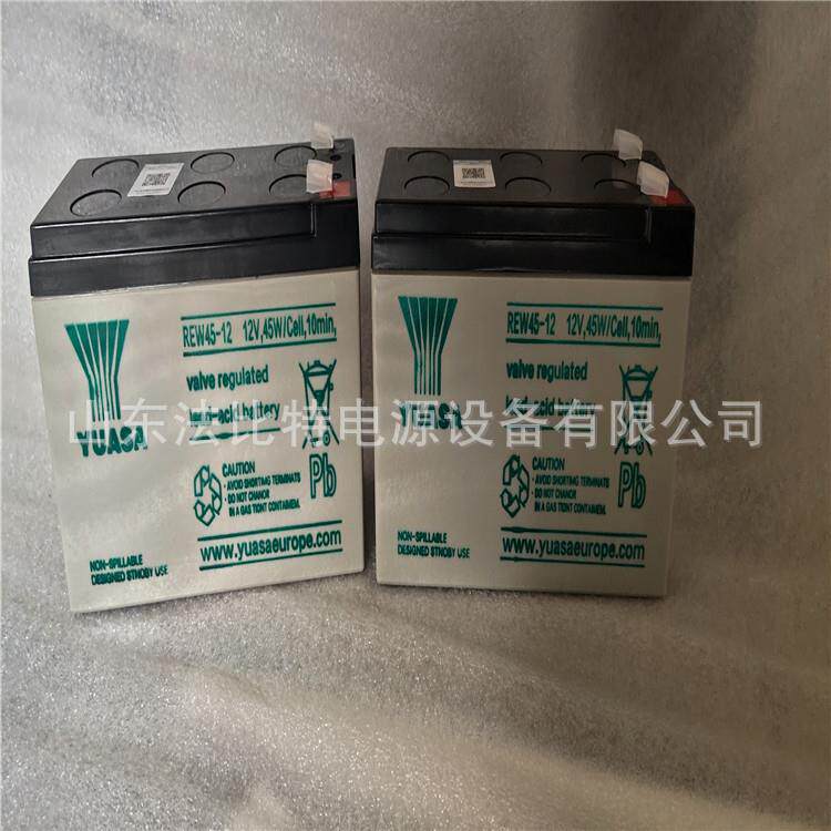 汤浅蓄电池REW45-12 YUASA蓄电池12V45W/CeII.10min应急电源YUASA