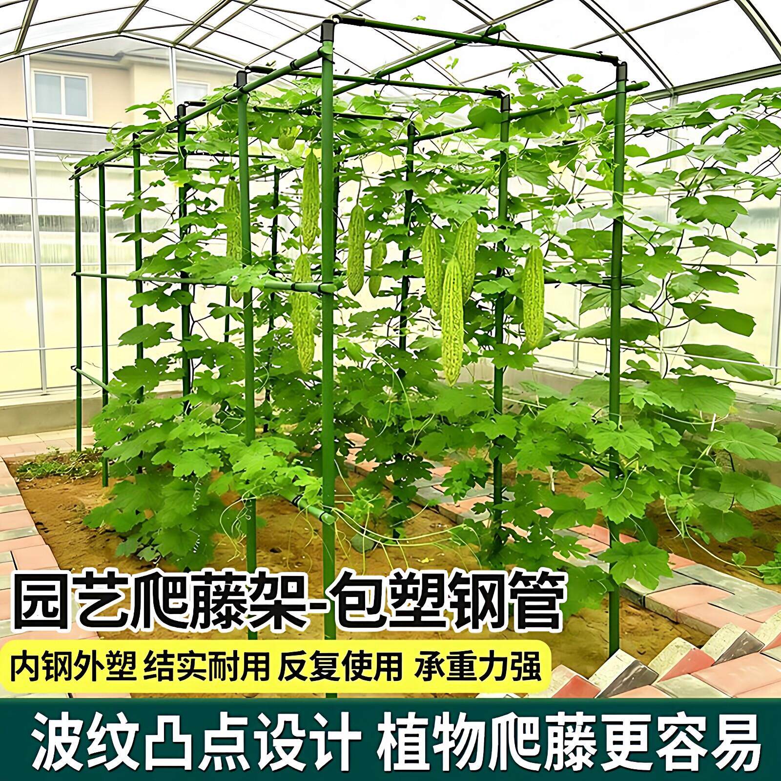 西红柿爬藤架 包塑钢管支架丝瓜葫芦蔬菜支撑架豆角黄瓜架杆