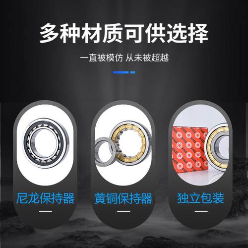 德国FAG进口轴承NU315 NU316 NU317 NU318 NU319 NU320E.TVP/ NU3