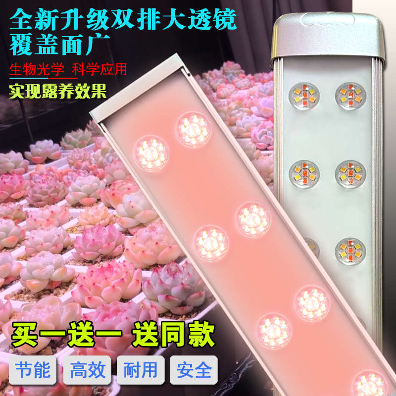 核管家全光譜多肉補光燈家用上色防徒長花卉育苗植物生長仿太陽光