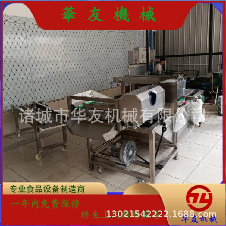 华友HYGB-4200-B挂冰机脱骨鸡爪挂冰龙虾尾包冰冰衣机