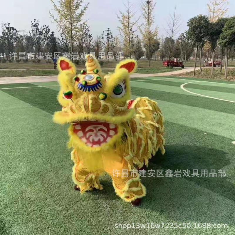 舞狮道具南狮舞狮子双人舞狮醒狮北狮狮头舞狮子灯光狮发光狮子