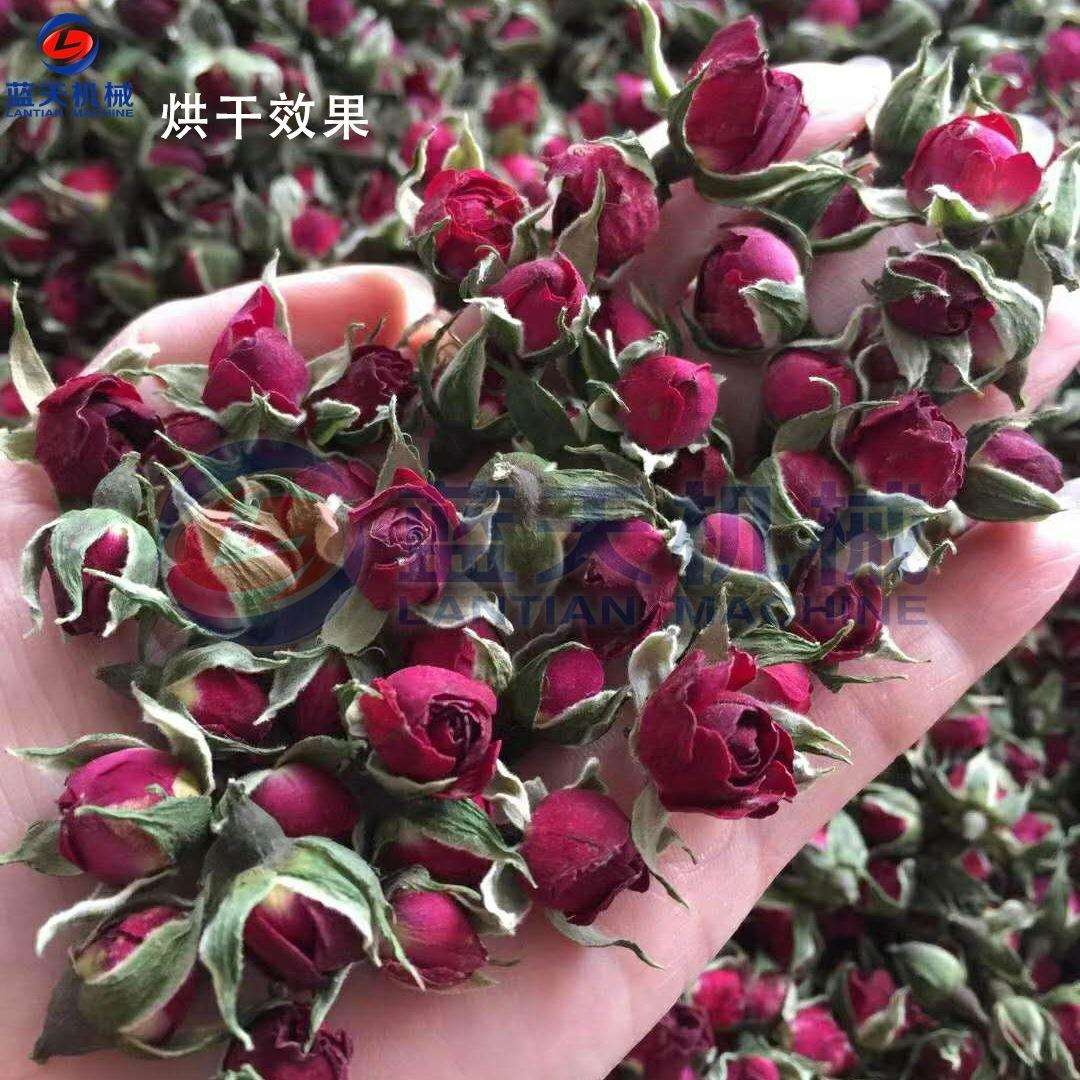 蓝天小型玫瑰花烘干机LT-MG干燥机/干燥箱/烘干