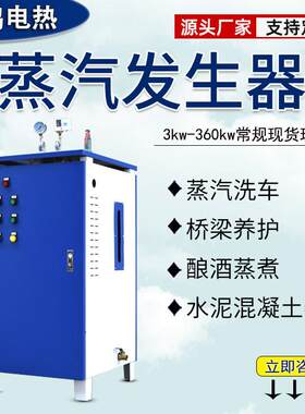 工业电蒸汽锅炉48kw棉花加湿大棚采暖酿酒蒸汽发生器水泥养护机