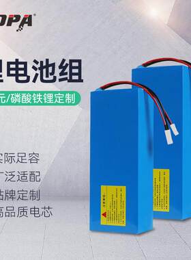 48v三元锂磷酸铁锂电池24v40ah锂电池AGV园林工具动力锂电池