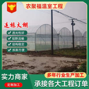 无锡厂家薄膜连栋温室大棚骨架内外遮阳简易现代农业种植大棚安装