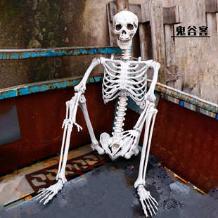 万圣节骷髅骨架仿真热销塑鬼屋密室道具165cm人体骨架装 饰