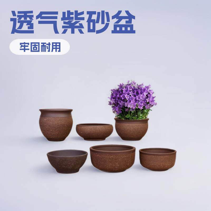 紫砂粗陶多肉陶瓷盆景盆花瓶透气陶泥花盆办公室桌面阳台盆栽