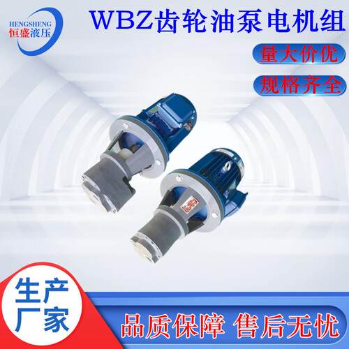 厂家直销LBZ-4106380LBZ-125液压齿轮润滑机油泵电机总成