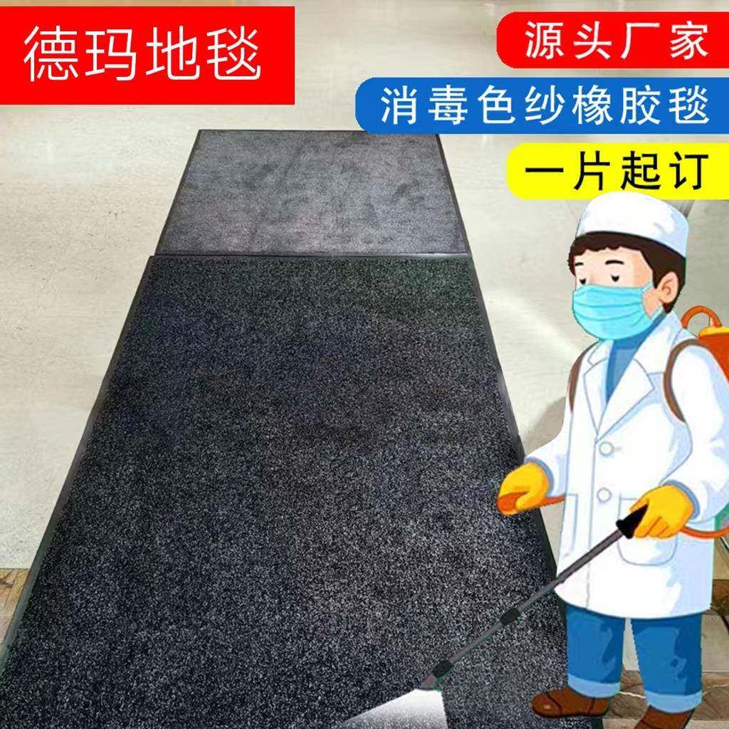 德玛地毯尼龙色纱橡胶地垫消毒垫除尘混色簇绒地毯成卷长条单片订