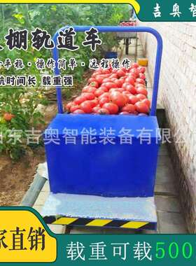 温室运菜棚轨道车采摘运大输小车手推平板车车遥TGY控控制可装