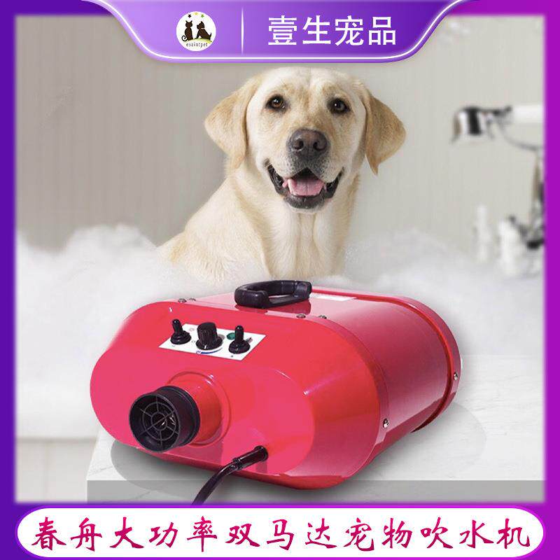 春舟双马达宠物吹水机狗狗大功率中大型犬吹毛机烘干机吹风机跨境