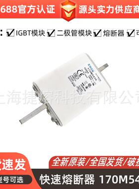 170M5412 170M5413 170M5416低压快速熔断器电子元器件现货直发