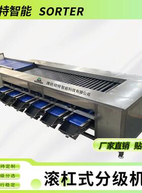 滚杠式分选机 杨梅选果机 山竹樱桃自动化分选设备 马蹄大小分级