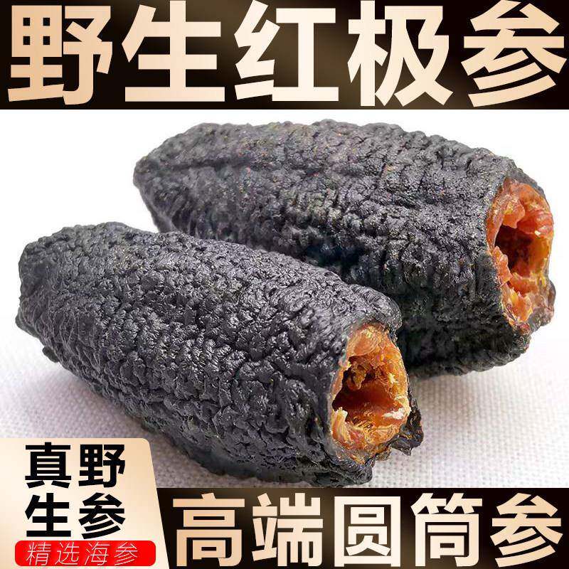 加拿大红色极参500g进口野生冰岛北极水产干散装淡干货刺参海渗