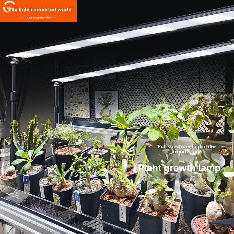 广联天下植物生长灯条形灯全光谱自然光热植物花架植物柜补光排灯