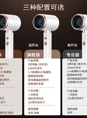 斯特朗高速电吹风机负离子发廊大功率家用风筒T形状恒温