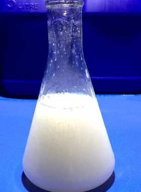 防腐防霉剂 水性漆膜防霉剂 水溶性好易分散TIO-20 干膜防霉剂